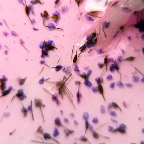 Гель-лак TUFI profi BLOOM 02 Сухоцветы Гиацинта 5 мл (0295302)